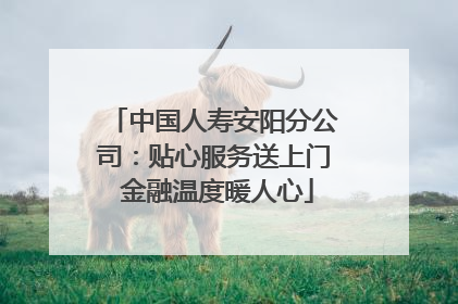 中国人寿安阳分公司：贴心服务送上门 金融温度暖人心