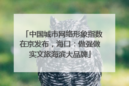 中国城市网络形象指数在京发布，海口：做强做实文旅海滨大品牌