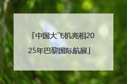 中国大飞机亮相2025年巴黎国际航展
