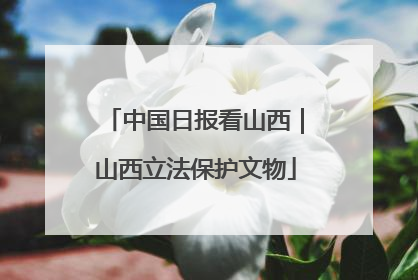 中国日报看山西｜山西立法保护文物