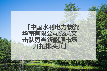 中国水利电力物资华南有限公司党员突击队勇当新能源市场开拓排头兵