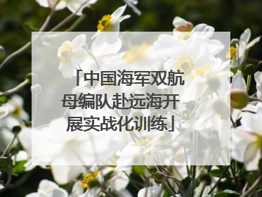 中国海军双航母编队赴远海开展实战化训练