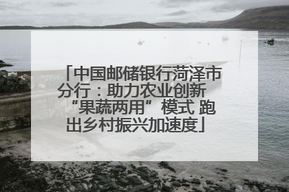 中国邮储银行菏泽市分行：助力农业创新 “果蔬两用”模式 跑出乡村振兴加速度