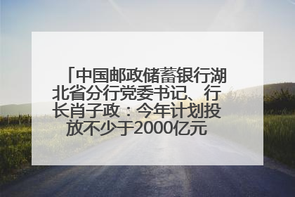 中国邮政储蓄银行湖北省分行党委书记、行长肖子政：今年计划投放不少于2000亿元支持支点建设