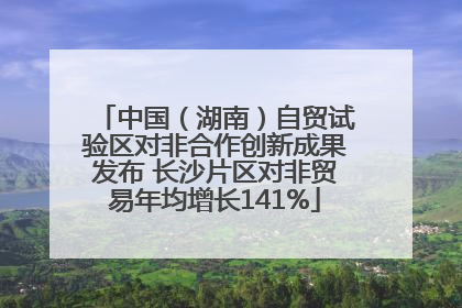 中国（湖南）自贸试验区对非合作创新成果发布 长沙片区对非贸易年均增长141%