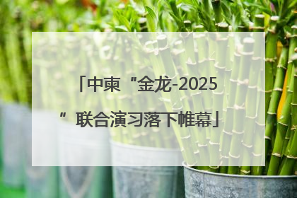中柬“金龙-2025”联合演习落下帷幕