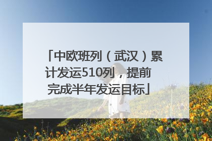 中欧班列（武汉）累计发运510列，提前完成半年发运目标