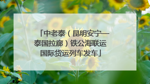 中老泰（昆明安宁—泰国拉廊）铁公海联运国际货运列车发车