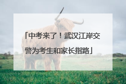 中考来了！武汉江岸交警为考生和家长指路