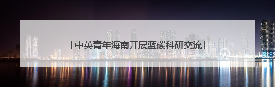 中英青年海南开展蓝碳科研交流