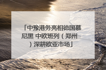中豫港务亮相德国慕尼黑 中欧班列（郑州）深耕欧亚市场