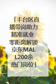 丰台区直播带岗助力精准就业 零距离解锁京东MALL200余热门岗位