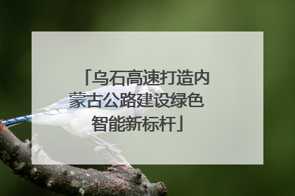乌石高速打造内蒙古公路建设绿色智能新标杆
