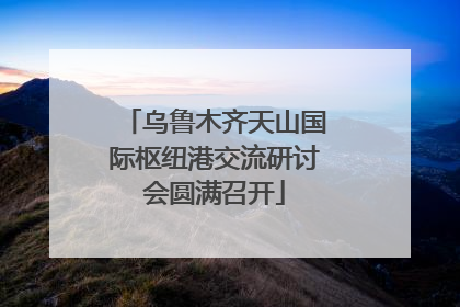 乌鲁木齐天山国际枢纽港交流研讨会圆满召开
