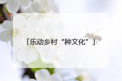 乐动乡村“种文化”