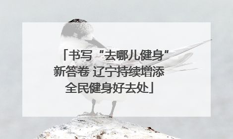 书写“去哪儿健身”新答卷 辽宁持续增添全民健身好去处