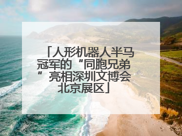 人形机器人半马冠军的“同胞兄弟”亮相深圳文博会北京展区