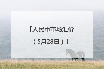 人民币市场汇价（5月28日）