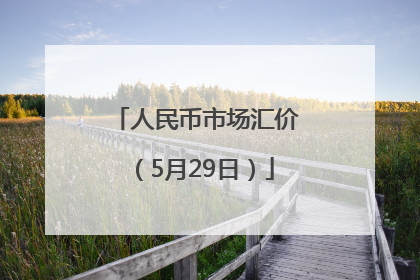 人民币市场汇价（5月29日）
