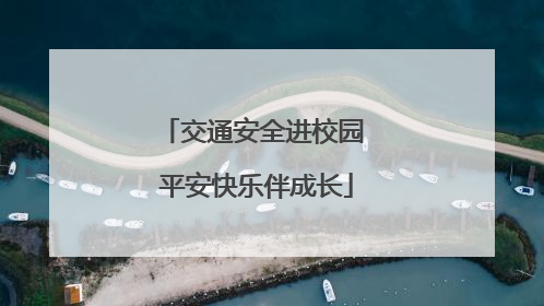 交通安全进校园 平安快乐伴成长