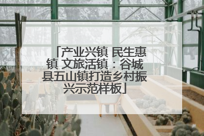 产业兴镇 民生惠镇 文旅活镇：谷城县五山镇打造乡村振兴示范样板