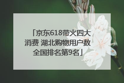 京东618带火四大消费 湖北购物用户数全国排名第9名