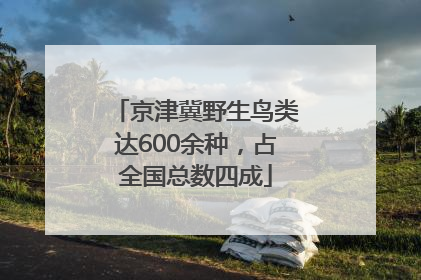 京津冀野生鸟类达600余种，占全国总数四成