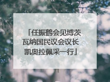 任振鹤会见博茨瓦纳国民议会议长凯奥拉佩采一行