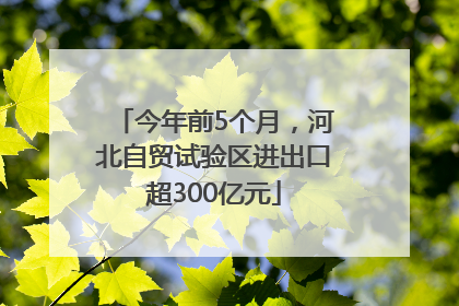 今年前5个月，河北自贸试验区进出口超300亿元