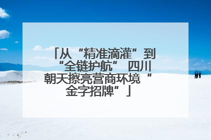 从“精准滴灌”到“全链护航” 四川朝天擦亮营商环境“金字招牌”