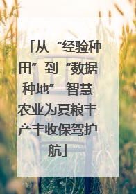 从“经验种田”到“数据种地” 智慧农业为夏粮丰产丰收保驾护航