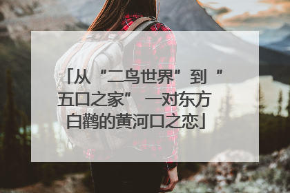 从“二鸟世界”到“五口之家” 一对东方白鹳的黄河口之恋