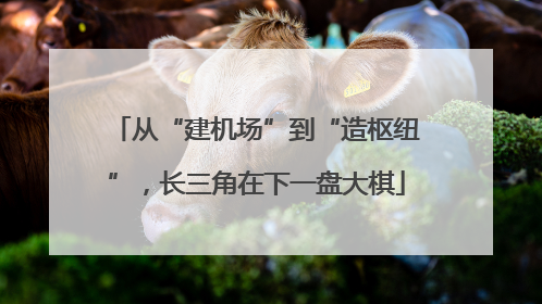 从“建机场”到“造枢纽”，长三角在下一盘大棋