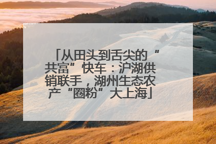 从田头到舌尖的“共富”快车：沪湖供销联手，湖州生态农产“圈粉”大上海