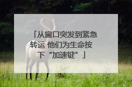 从窗口突发到紧急转运 他们为生命按下“加速键”