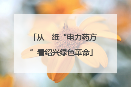 从一纸“电力药方”看绍兴绿色革命