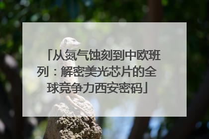 从氮气蚀刻到中欧班列：解密美光芯片的全球竞争力西安密码