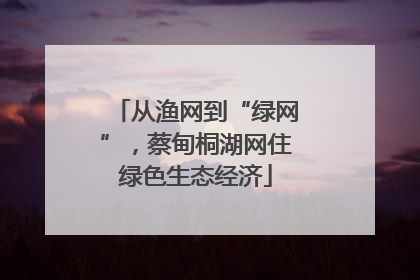 从渔网到“绿网”，蔡甸桐湖网住绿色生态经济