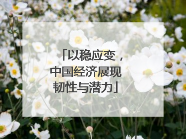 以稳应变，中国经济展现韧性与潜力