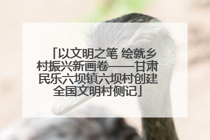 以文明之笔 绘就乡村振兴新画卷——甘肃民乐六坝镇六坝村创建全国文明村侧记