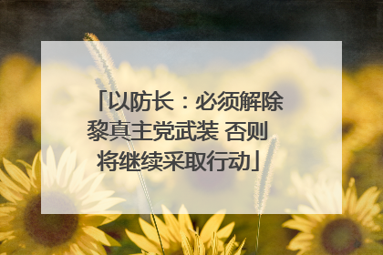 以防长：必须解除黎真主党武装 否则将继续采取行动