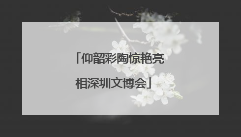 仰韶彩陶惊艳亮相深圳文博会