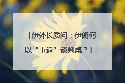 伊外长质问：伊朗何以“重返”谈判桌？