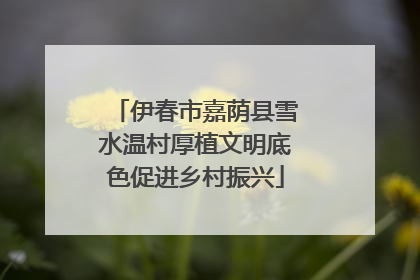 伊春市嘉荫县雪水温村厚植文明底色促进乡村振兴