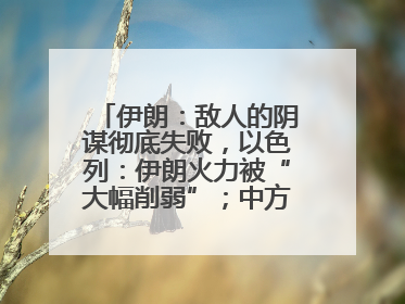 伊朗：敌人的阴谋彻底失败，以色列：伊朗火力被“大幅削弱”；中方代表：这次不能再有欺骗