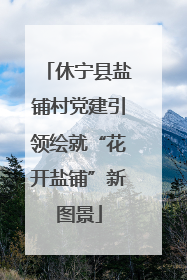 休宁县盐铺村党建引领绘就“花开盐铺”新图景