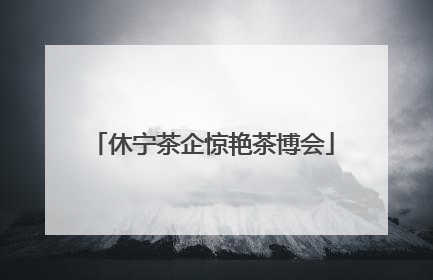 休宁茶企惊艳茶博会