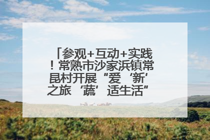 参观+互动+实践！常熟市沙家浜镇常昆村开展“爱‘新’之旅‘蔬’适生活”参观学习活动