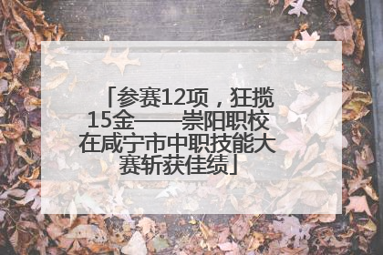 参赛12项，狂揽15金——崇阳职校在咸宁市中职技能大赛斩获佳绩