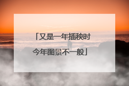 又是一年插秧时 今年图景不一般